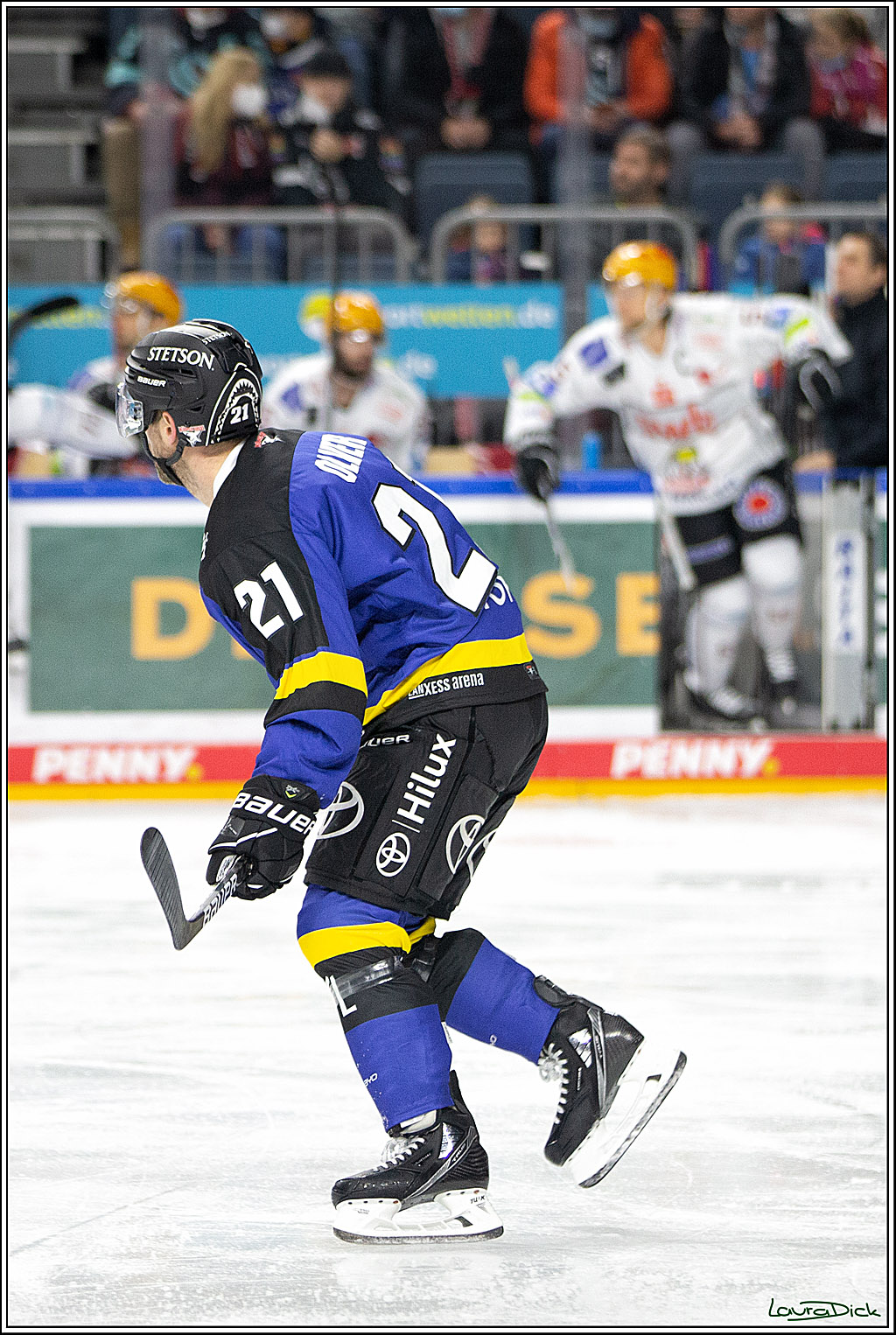 PENNY DEL; Koelner Haie- Fishtown Pinguins Bremerhaven; Koeln, 23.11.2021